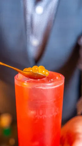 Axia Greek Mastiha Spirit and London Essence soda in a Louie London Cocktail