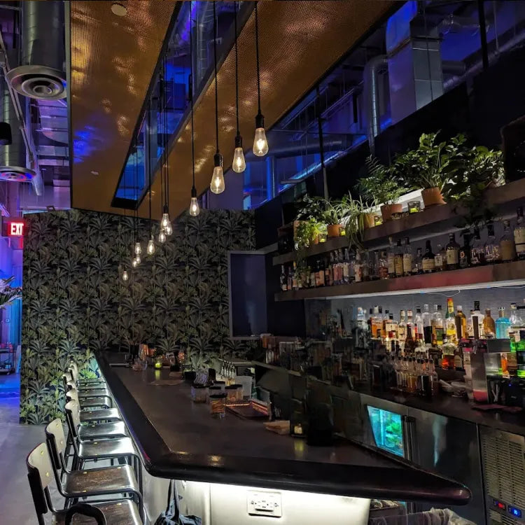 Vine Bar, New York: long, sleek bar with metal stools, dark countertop, industrial-style lighting above, tropical-patterned wall and shelves stocked with various bottles and plants
