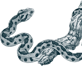 Axia Spirit dark blue snake illustration