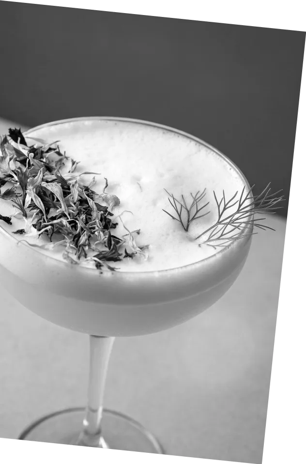 Black and white picture of an Axia Greek Mastiha Spirit Sour Japanese Cocktail with flowers and dill