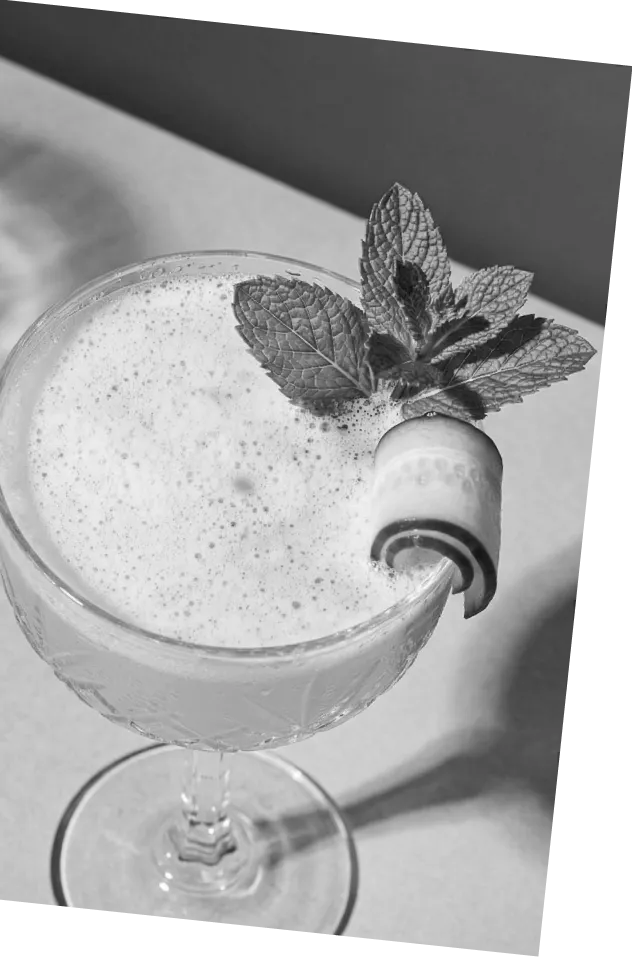 Black and white picture of an Axia Greek Mastiha Spirit Southside Cocktail with cucumber and mint leaves