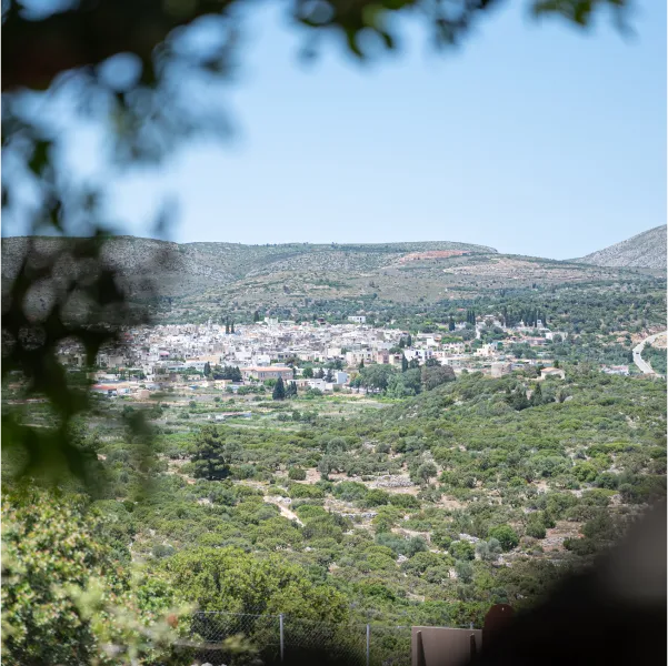 A town in a green valley, surrounded by hills under a clear sky, with blurred foliage in the foreground