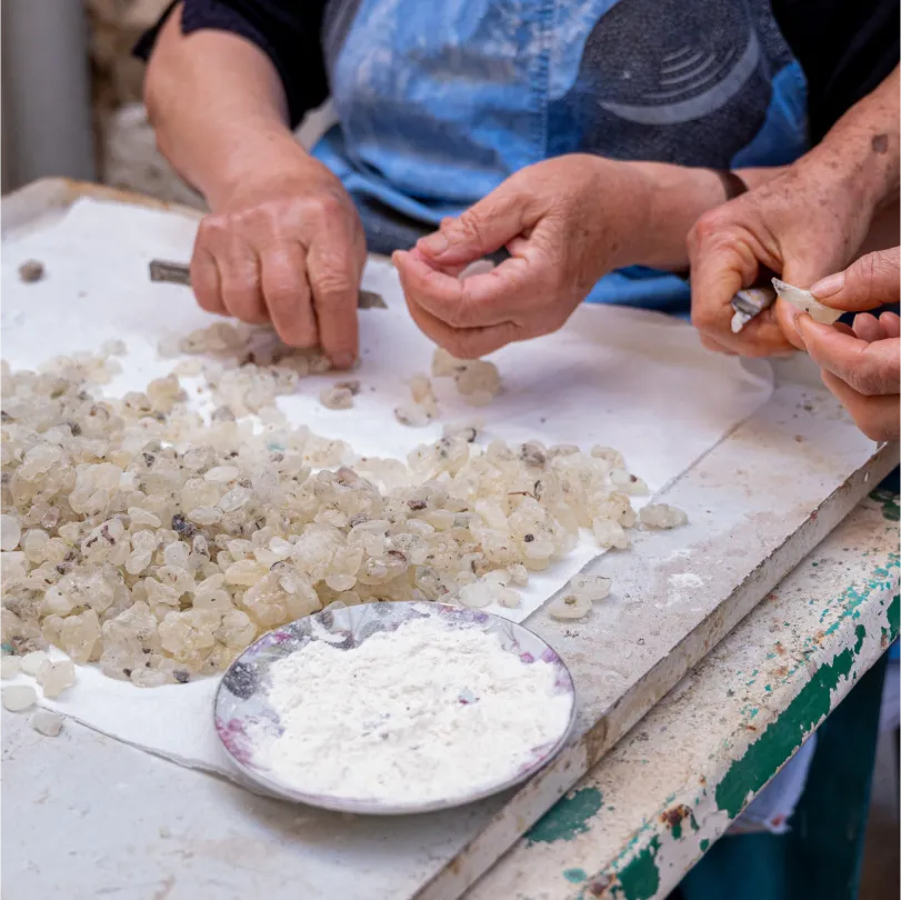 Two sets of hands work with light-coloured mastic resin on a white surface, with a plate of white powder in the foreground