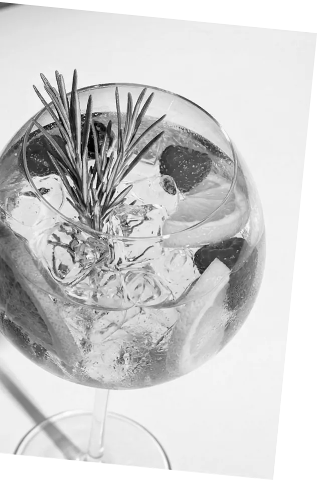 Black and white picture of an Axia Greek Mastiha Spirit Tonic Cocktail garnished with lemon slices, raspberries, and rosemary