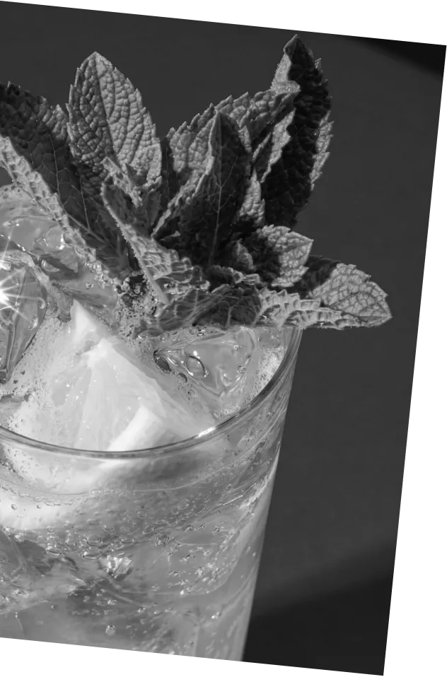 Black and white picture of an Axia Greek Mastiha Spirit Twisted Lemon Cocktail with ice, lemon and mint leaves